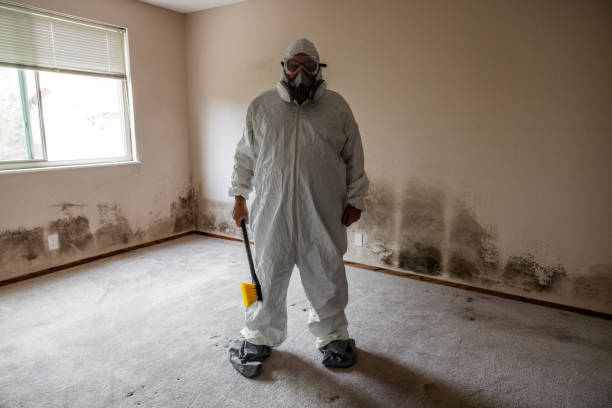 Best Attic Mold Removal  in Covington, OH